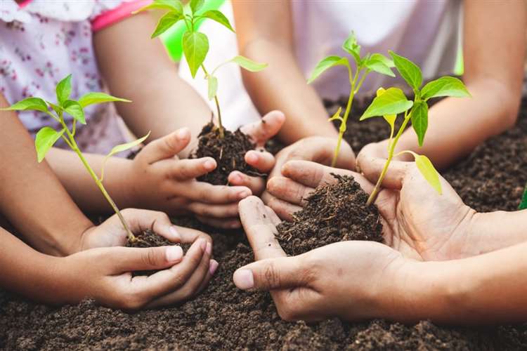 Plant tree save environment